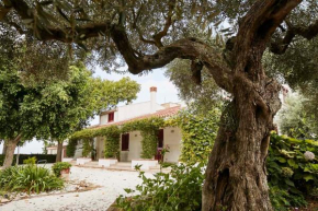 La Casa Bianca, Marsala